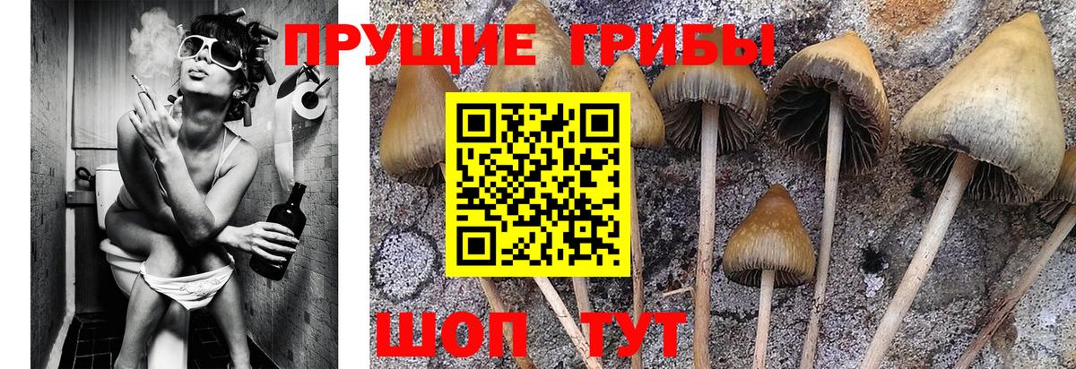 Псилоцибиновые грибы прущие грибы  Вход с VPN  наркошоп  Орёл 